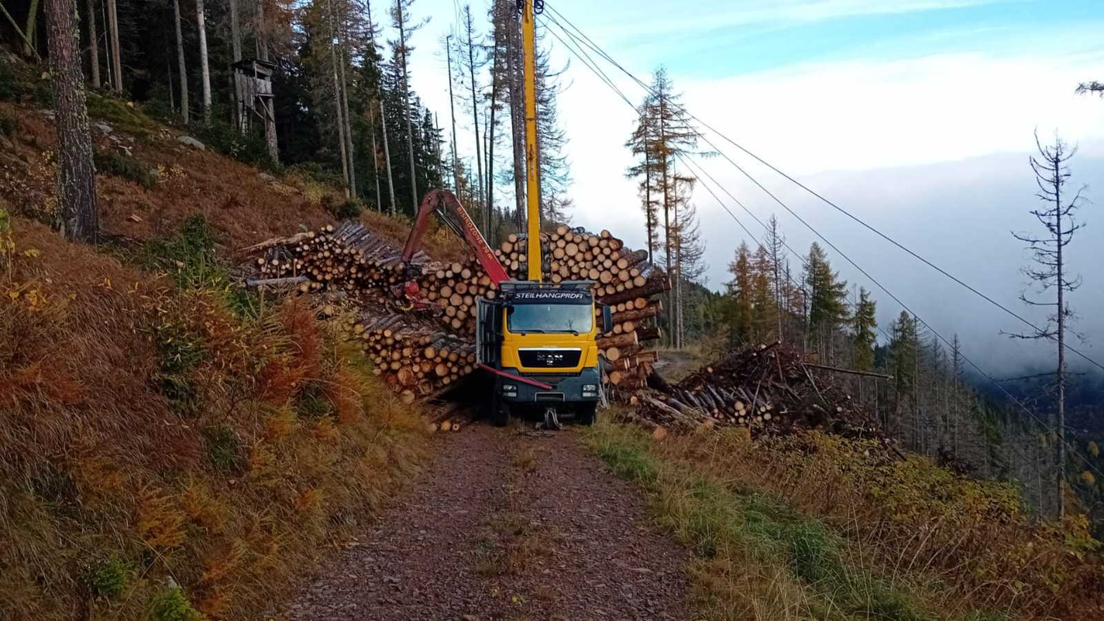 OmecoHub - Immagine 3